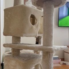 キャットタワーの画像