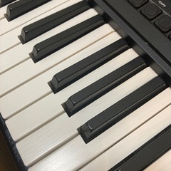 2021年製 CASIO カシオトーン CT-S300の画像