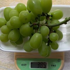 ぶどう シャインマスカット（385g）訳あり ブドウ 