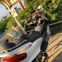 マジェスティ250
の画像
