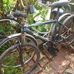 自転車5台分の画像