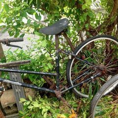 自転車5台分の画像