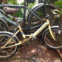 自転車5台分の画像