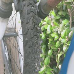 GIANT 自転車　ジャンク品の画像