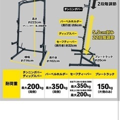 STEADY ハーフラックの画像