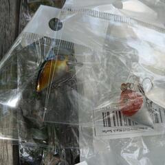 釣り用品　ルアーセット9個の画像