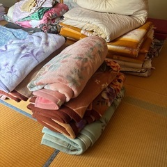 【美品無料🆓】敷布団　毛布　薄マットレス　シーツ　の画像