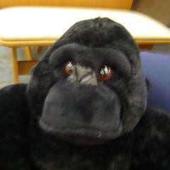ID224106　ゴリラぬいぐるみの画像
