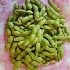 野菜100(🥒きゅうり、ピーマン🫑、茄子、ごうや、カボチャなど）の画像