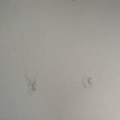 ニトリキッチン棚の画像