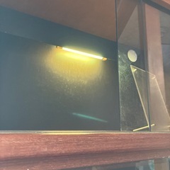 ライト付きコレクション棚の画像