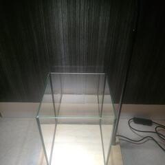 お得15点セット！！②熱帯魚小型水槽！②ベタやメダカや金魚ぴったりの画像