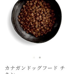 カナガン　ドッグフードの画像
