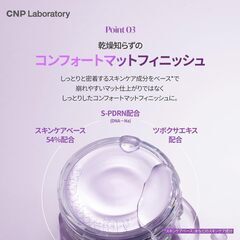 アンプルインテンションフィットクッションの画像