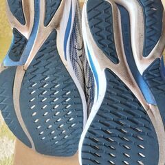 MIZUNO　WaveRider28 26cmの画像