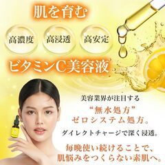 VC美容液 ゼロシステム ピュアV.Cの画像