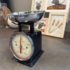 ダルトンスケール500gの画像