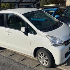 SOBARU STELLA ✅の画像