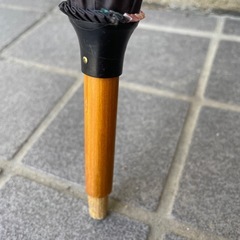 雨傘の画像