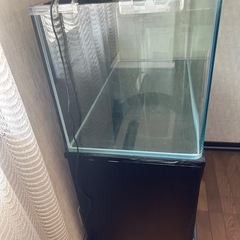 コトブキレグラス R-900L 90cm フレ ームレス曲げガラス水槽、ライト、専用台付きの画像