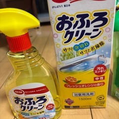 洗剤各種5点セットの画像