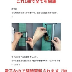※概要欄より購入を【これ1冊でOK！？】ヘラクレスオオカブト大全＆完全飼育ガイドの画像