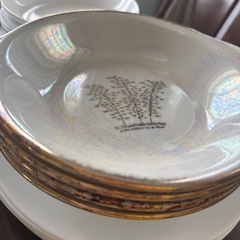カレー皿　5枚の画像