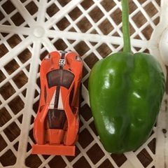 ピーマンと茄子の画像