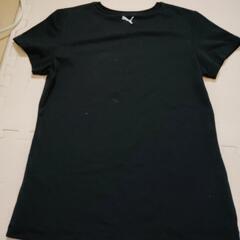 プーマ　Tシャツ　レディースМの画像