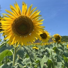 岐阜の方も歓迎✨恋活、婚活中の方仲良くしてください
