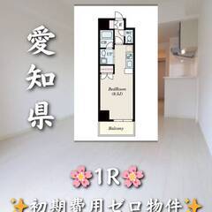 初期費用ゼロ　愛知県名古屋市　家賃65000円　ペット相談可　の画像