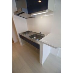 初期費用ゼロ　愛知県名古屋市　家賃65000円　ペット相談可　 - 賃貸（マンション/一戸建て）