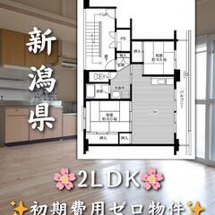 初期費用ゼロ物件　新潟県長岡市　家賃38000円　緊急連絡…
