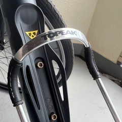 head 自転車 RAY (crw-hery7006st-48)の画像