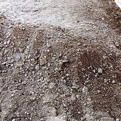 土砂利20個くらいの画像