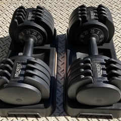 【RKGKG】特価！RIORES/可変式ダンベル/25kg /ペア/中古品の画像