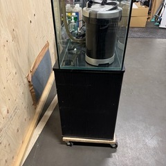 水槽の画像