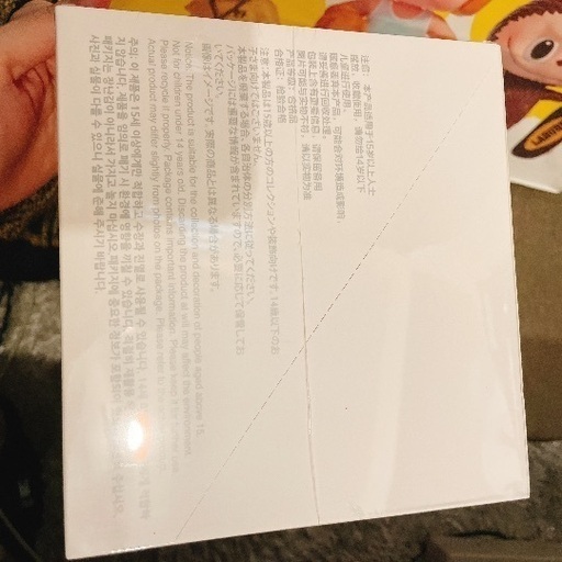 Big into Energy 紙袋・レシート box LABUBU 新品未開封