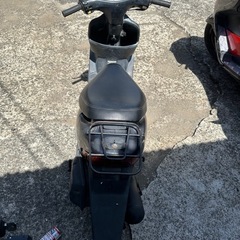 ライブディオの画像