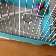鳥かご　バードハウスの画像