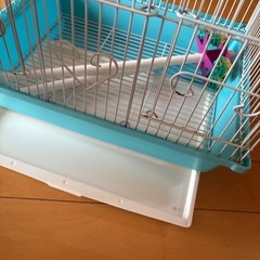 鳥かご　バードハウスの画像