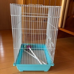 鳥かご　バードハウスの画像