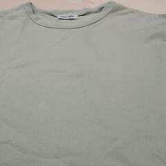 Tシャツ   レディースMの画像