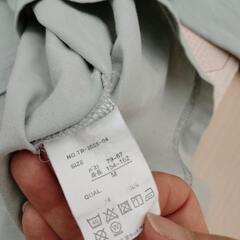 Tシャツ   レディースMの画像