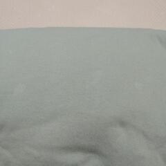 Tシャツ   レディースMの画像