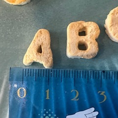 アルファベット　クッキー　粘土の画像