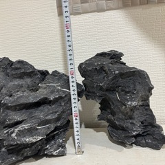 水槽　青華石　青龍石　親石クラス　2つの画像