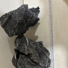 水槽　青華石　青龍石　親石クラス　2つの画像