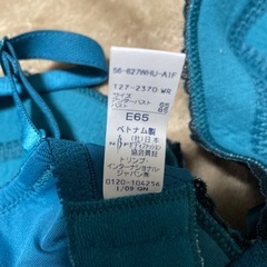トリンプ　Ｅ６５　上のみの画像