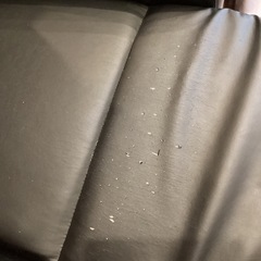 リクライニングソファーの画像